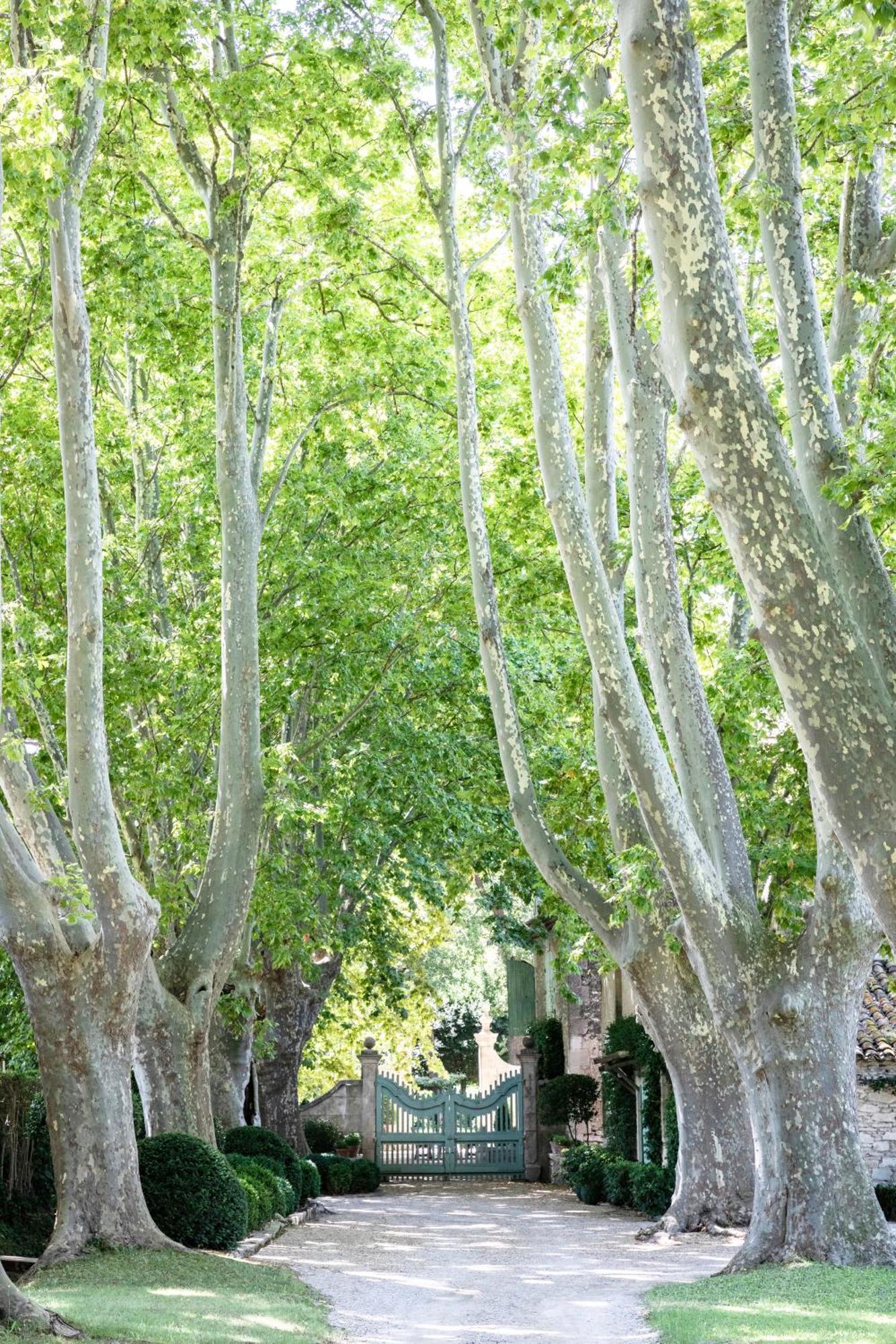 Bed and Breakfast Domaine De Chalamon Saint-Rémy-de-Provence Exterior foto